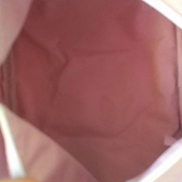 HOST PICK! DIOR - pink logo mini bag/cosmetic bag - Picture 7 of 7